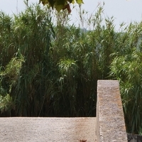 Photo de France - Le Canal du Midi et le tunnel du Malpas